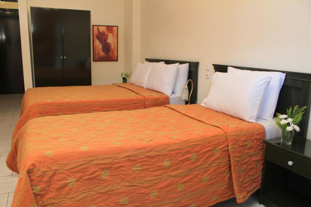 Famissi Eden Hotel Kalambaka Cameră foto