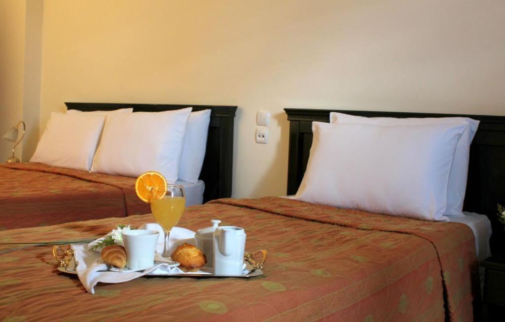 Famissi Eden Hotel Kalambaka Cameră foto