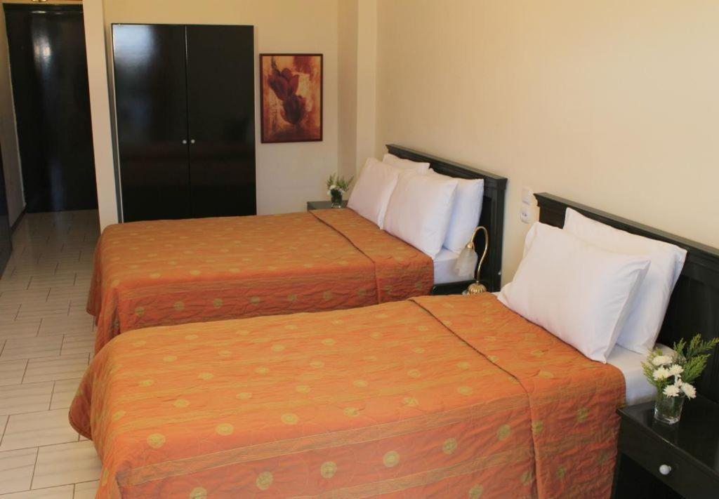Famissi Eden Hotel Kalambaka Cameră foto